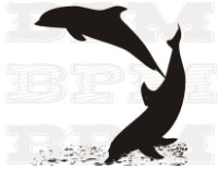 /album/fotogaleria-ryby/ryby-26-jpg/